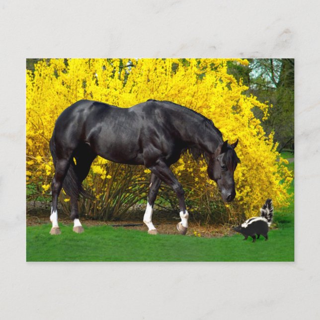 "En mycket dålig idé" Vykort (Framsida)