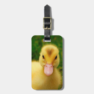 En mycket liten Duckling Bagagebricka