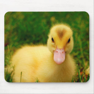 En mycket liten Duckling Musmatta