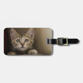 En mycket söt Tabbykattunge Bagagebricka