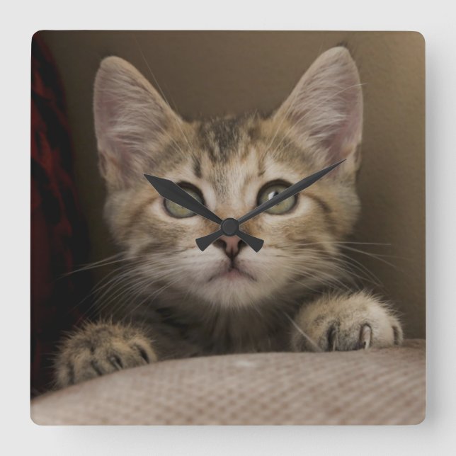 En mycket söt Tabbykattunge Fyrkantig Klocka (Framsida)