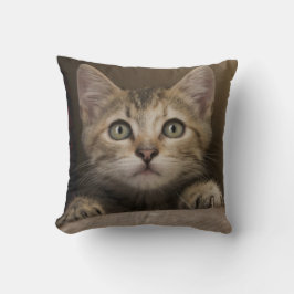 En mycket söt Tabbykattunge Kudde