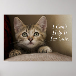 En mycket söt Tabbykattunge Poster
