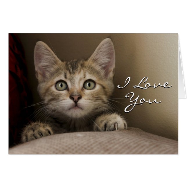 En mycket söt tablett Kitten Hälsningskort (Framsidan Horizontal)