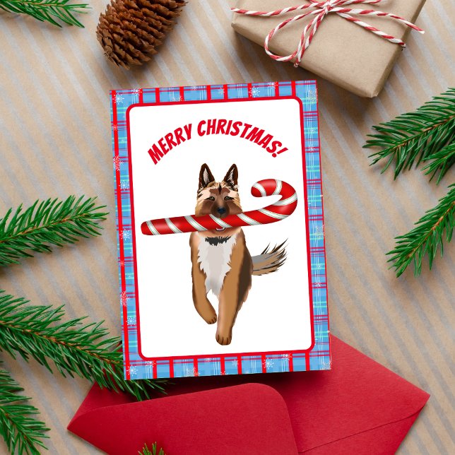 En mycket tysk schäfer julgodisgran kort (Great for the German Shepherd fan! )