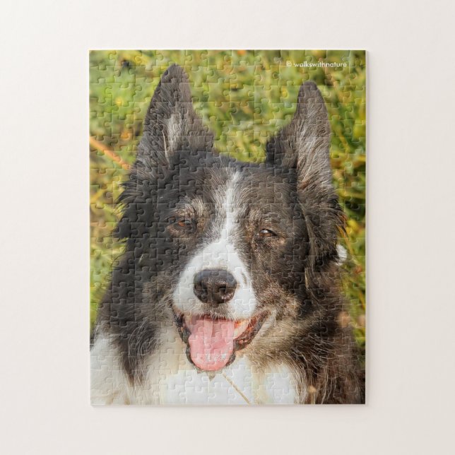 En mycket vänlig Gräns Collie Pussel (Vertikal)