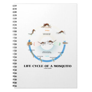 En myggas livscykel (Egg Larva Pupa Imago) Anteckningsbok Med Spiral