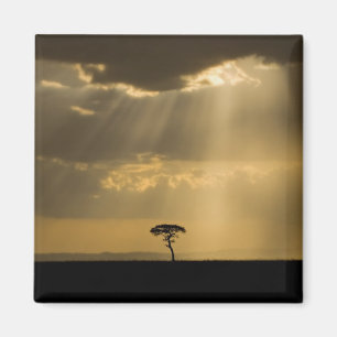 En mystisk solnedgång vid återkomst till lägret i magnet