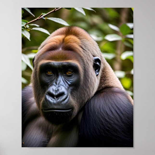 En nära Porträtt av Gorilla Poster (Framsidan)