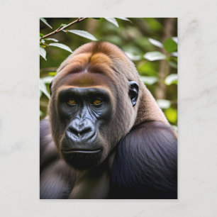 En nära Porträtt av Gorilla Vykort