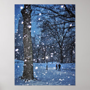 En natt går till och med vintersnö poster