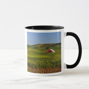En naturskön vy av en lada i Moscow Idaho. Mugg