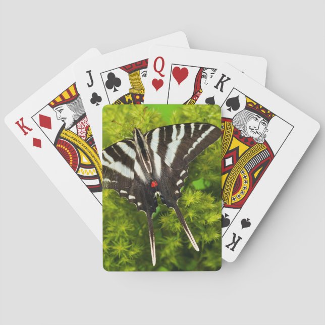 En nord - amerikanSwallowtail fjäril Casinokort (Baksidan)