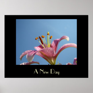 EN NY DAG konsttryck Rosa Calla Lily Blommor Konst Poster
