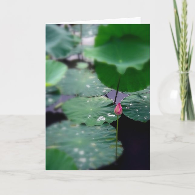 En ny gryning helgkort (Framsida)