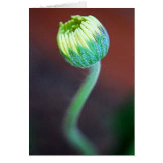 En ny säsong hälsningskort