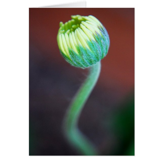 En ny säsong hälsningskort (Framsidan)