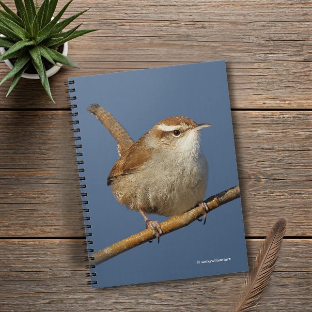 En Nyfiken Bewicks Wren i Träd Anteckningsbok (Curious Bewick's Wren on a Branch Journal Cover Photo)