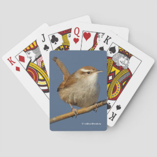 En Nyfiken Bewicks Wren i Träd Casinokort