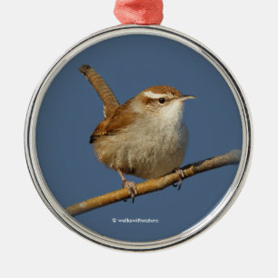 En Nyfiken Bewicks Wren i Träd Julgransprydnad Metall