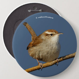 En Nyfiken Bewicks Wren i Träd Knapp