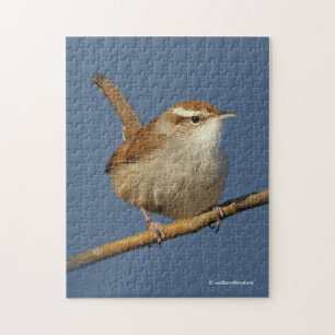 En Nyfiken Bewicks Wren i Träd Pussel