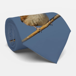 En Nyfiken Bewicks Wren i Träd Slips