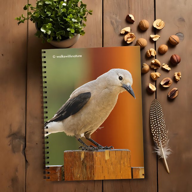 En Nyfiken Clarks Nutcracker Anteckningsbok (Curious Clark's Nutcracker Journal Cover Photo)