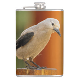 En Nyfiken Clarks Nutcracker Fickplunta