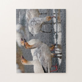 En Nyfiken gaggel av Snö Pussel