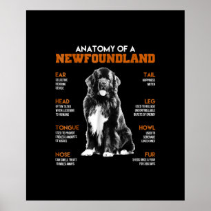 En nyfunnen flod-Hundar Poster