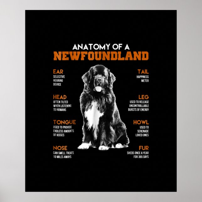 En nyfunnen flod-Hundar Poster (Framsidan)