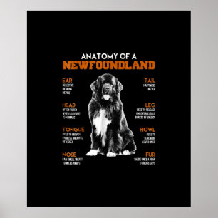 En nyfunnen flod-Hundar Poster