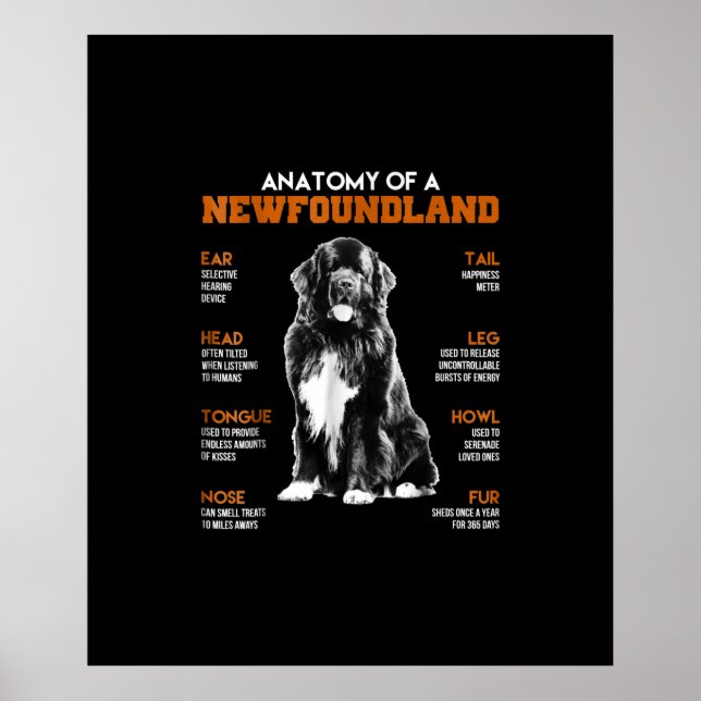 En nyfunnen flod-Hundar Poster (Framsidan)