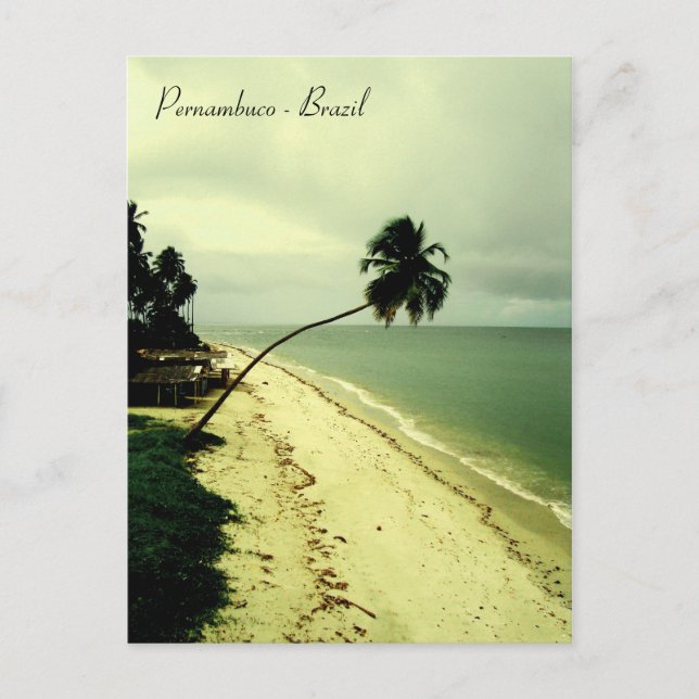 En ö. Pernambuco, Brasilien Vykort (Framsida)