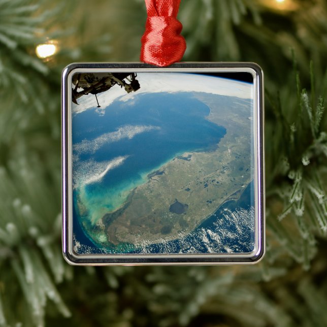 En Oblique Florida, i sydöstra Kusten Julgransprydnad Metall (Träd)