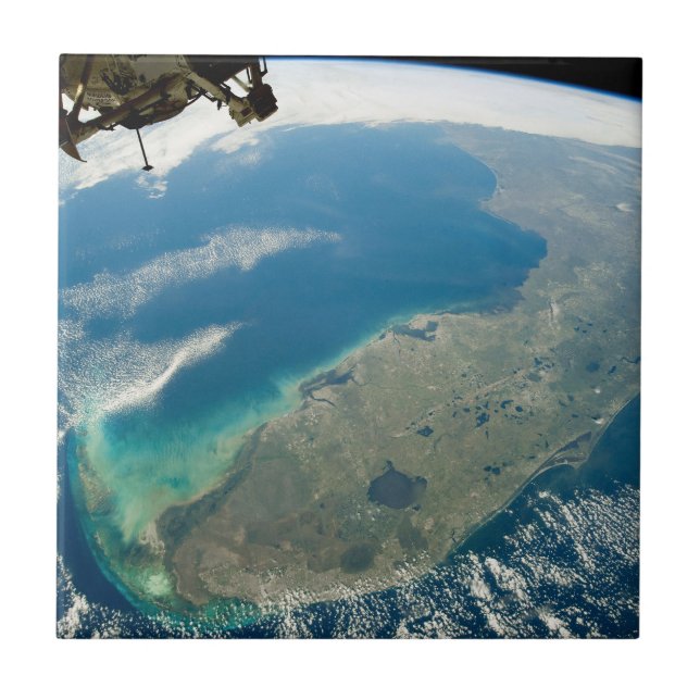 En Oblique Florida, i sydöstra Kusten Kakelplatta (Framsidan)
