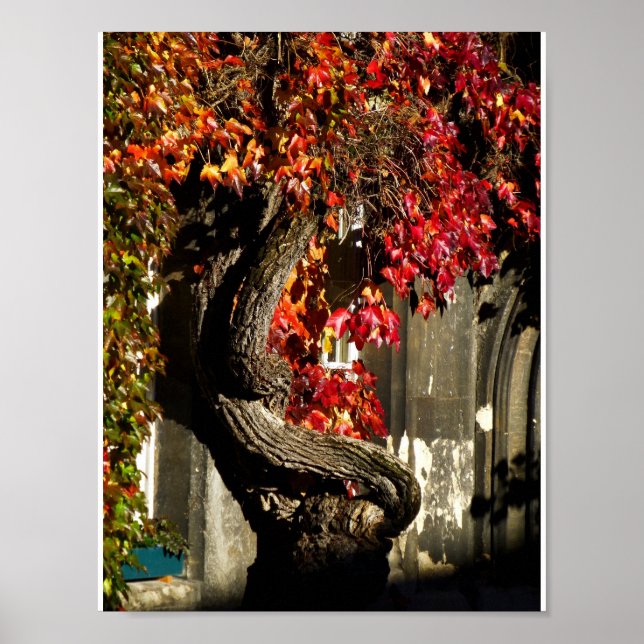 En olyckshändelse poster (Framsidan)