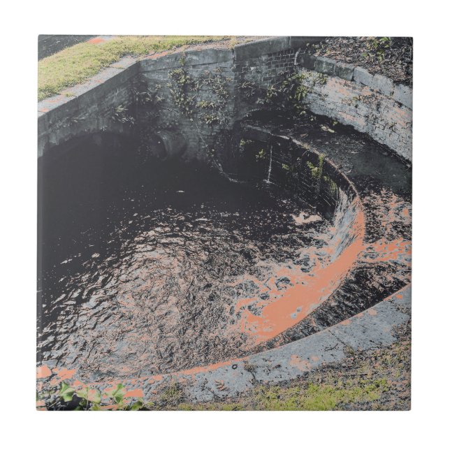 En Orange Bassäng i Welshpool Kakelplatta (Framsidan)