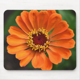 En Orange blomma Musmatta