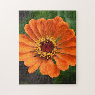 En Orange blomma Pussel