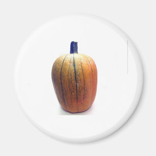 En Orange Pumpkin Magnet