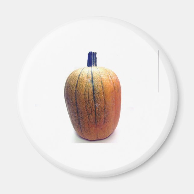 En Orange Pumpkin Magnet (Framsidan)