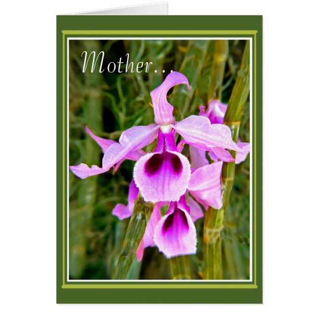 En Orchid för Mor Hälsningskort (Framsidan)