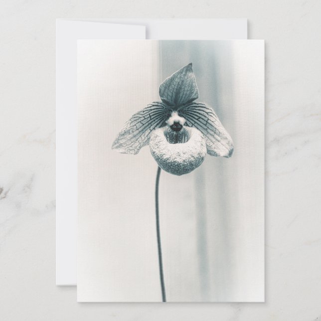 En orkidéblomma kort (Framsida)