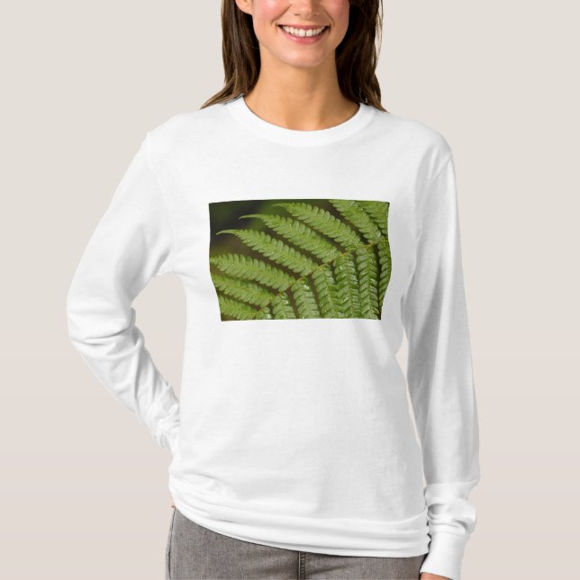 En ormbunksdetalj, från Mindo Cloud Forest, T-shirt (Framsida)