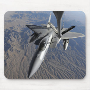 En örn för US-flygvapen F-15 Musmatta