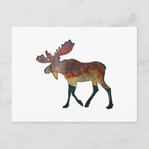 En otrolig resa vykort