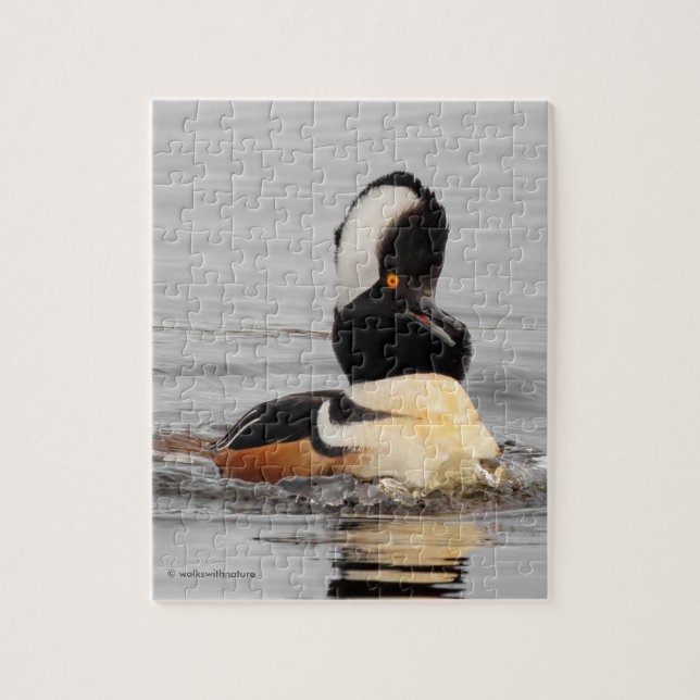 En överraskad, Hooded Merganser Anka Pussel (Vertikal)