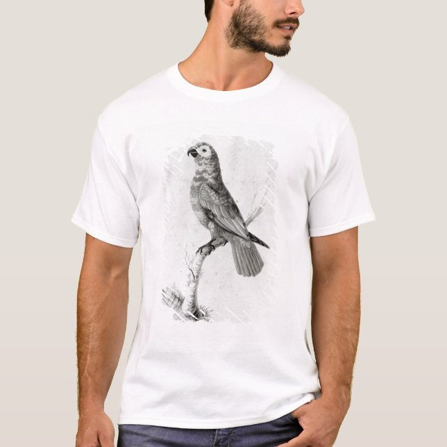 En papegoja, 1786 t-shirt (Framsida)